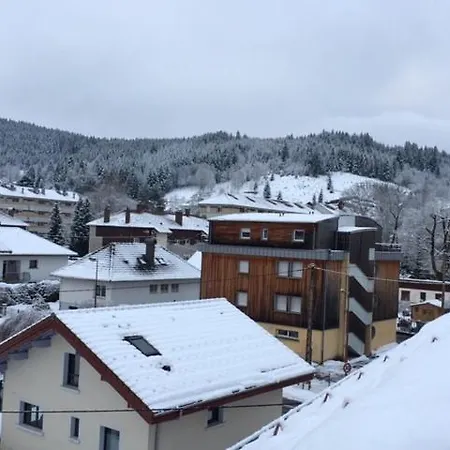 Appartamento Vue Montagne-centre Ville-2 Gérardmer